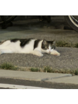 CLUB KAKUREGA - みこの女の子ブログ画像