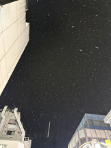 CLUB KAKUREGA - みこの女の子ブログ画像