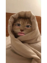 Minniy - ここあの女の子ブログ画像