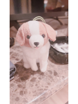 ときめき女学院 - らいむの女の子ブログ画像