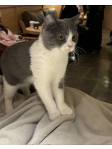 はっち 神田店 - ゆりの女の子ブログ画像