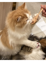 はっち 神田店 - ゆりの女の子ブログ画像