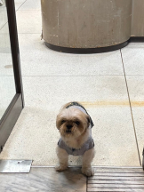 はっち 神田店 - ゆりの女の子ブログ画像