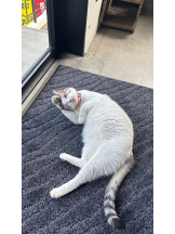 はっち 神田店 - ゆりの女の子ブログ画像