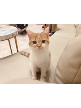 はっち 神田店 - ゆりの女の子ブログ画像