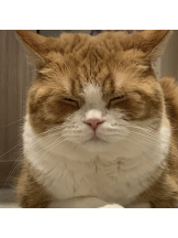 はっち 神田店 - ゆりの女の子ブログ画像