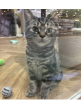 はっち 神田店 - ゆりの女の子ブログ画像