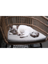 はっち 神田店 - ゆりの女の子ブログ画像