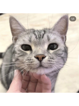 はっち 神田店 - ゆりの女の子ブログ画像