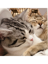 はっち 神田店 - ゆりの女の子ブログ画像