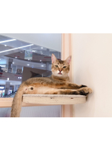 はっち 神田店 - ゆりの女の子ブログ画像