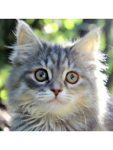 はっち 神田店 - ゆりの女の子ブログ画像