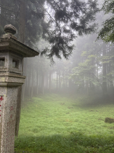 みつばちマーヤZ - さきの女の子ブログ画像