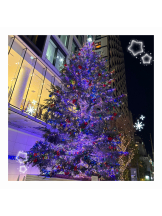 クリステル - のあの女の子ブログ画像