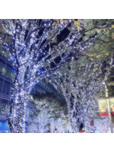 武蔵小杉 シュシュ - つきの女の子ブログ画像