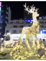 武蔵小杉 シュシュ - つきの女の子ブログ画像