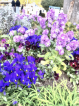 武蔵小杉 シュシュ - つきの女の子ブログ画像