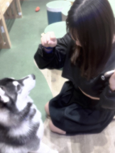 武蔵小杉 シュシュ - つきの女の子ブログ画像