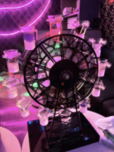 武蔵小杉 シュシュ - つきの女の子ブログ画像