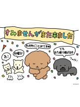 エマニエル秋葉原 - ふみの女の子ブログ画像