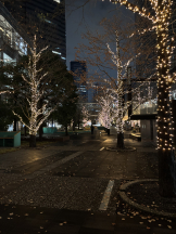 rejas(レジャス) - くるみの女の子ブログ画像