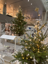 rejas(レジャス) - くるみの女の子ブログ画像