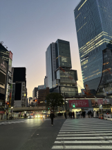 rejas(レジャス) - くるみの女の子ブログ画像