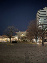 rejas(レジャス) - くるみの女の子ブログ画像