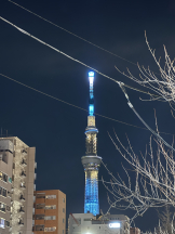 rejas(レジャス) - くるみの女の子ブログ画像