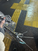 rejas(レジャス) - くるみの女の子ブログ画像