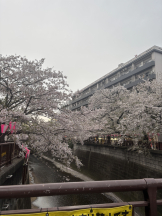 rejas(レジャス) - くるみの女の子ブログ画像