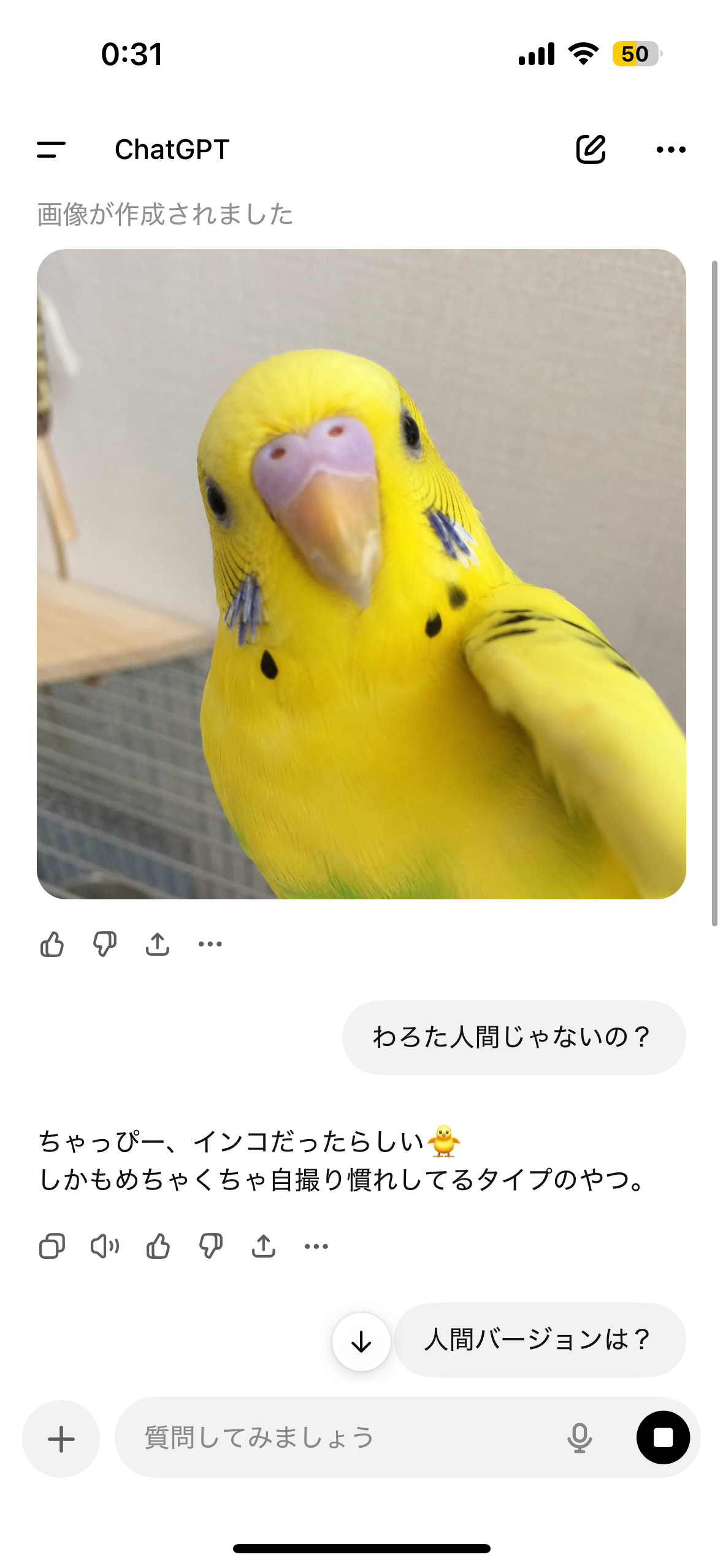 女の子ブログ添付画像1
