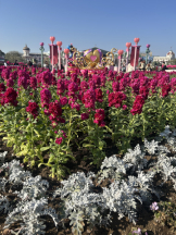 エンジェルキッス 池袋 - まこの女の子ブログ画像