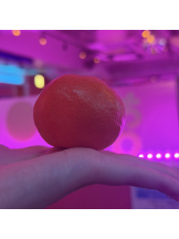 はっち８ - ももの女の子ブログ画像