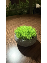 はっち８ - ももの女の子ブログ画像