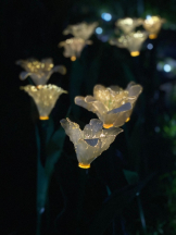 Ronno - りんごの女の子ブログ画像