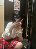 CHERRY 新宿 - もねの女の子ブログ画像