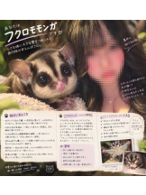 イチャイチャゲッチュ - えまの女の子ブログ画像