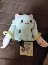 Felice(フェリス) - いおりの女の子ブログ画像