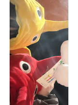 CHELSEA - みなの女の子ブログ画像