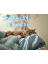 エマニエル秋葉原 - さくらの女の子ブログ画像