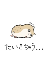 エマニエル秋葉原 - さくらの女の子ブログ画像