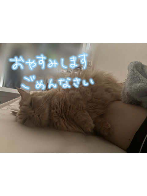 女の子ブログ添付画像1