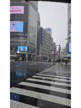 Beauty Street - ららの女の子ブログ画像