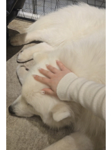 Beauty Street - ららの女の子ブログ画像