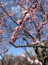 CLUB KAKUREGA - りかの女の子ブログ画像