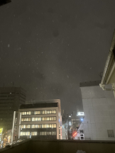 CHELSEA - スタッフRの女の子ブログ画像