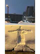 CHELSEA - スタッフRの女の子ブログ画像