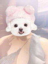 Minniy - とうかの女の子ブログ画像