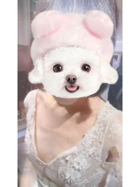 女の子ブログ添付画像1